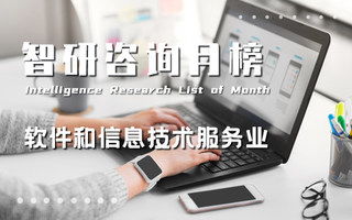 智研排行榜 洞察地區(qū)經(jīng)濟(jì)、行業(yè)與產(chǎn)品趨勢的信息技術(shù)咨詢服務(wù)
